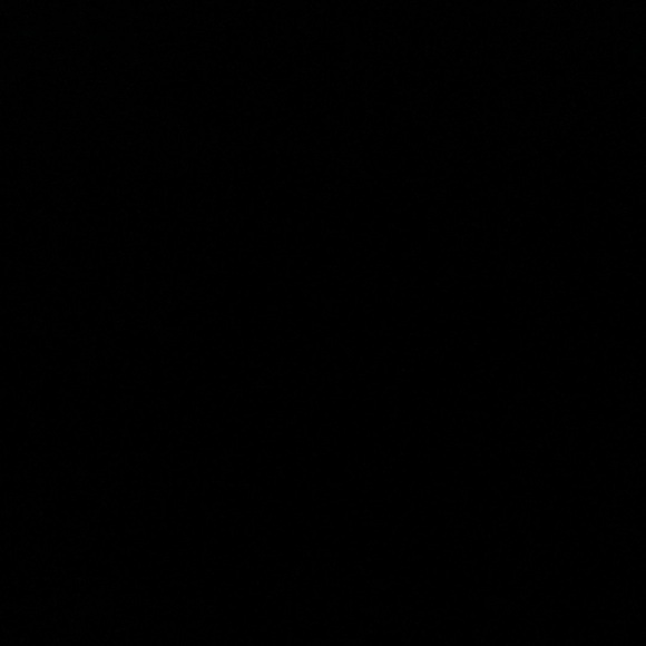 Meet your Posher, Eddy - Picture 1 of 1